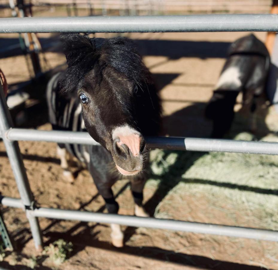 Rustic Farm Stay Temecula Dış mekan fotoğraf